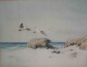 Swans in Flightunknown artist