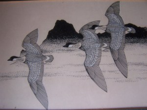 Hawaiian Geeseby Norman Arlott