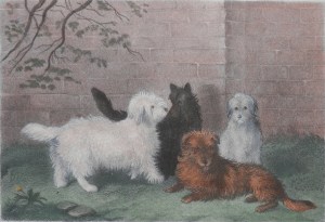 A Rough Lot etched by E Hacker after W Barraud @ 1830