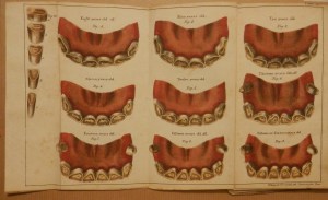 Girard's Treatise on the Teeth of the Horse 1829 Plate 2