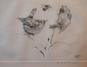 Birds and a Bee signed AEP - Amy E P?