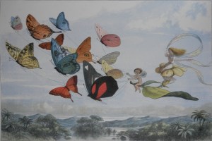 The Fairy Queen's Airy Drive by Richard Doyle printed 1870