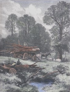 The Wood-wain engraving by Myles Birket Foster