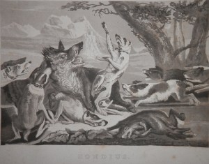 Death of a Wild Boar aquatint with etching after Hendrik Hondius