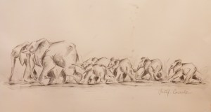 Following by Julia Cassels