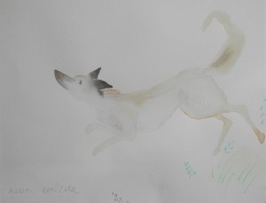 'Bran' illustration by Asun Balzola @ 1992