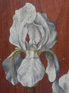 Iris by unknown artist @ 1890