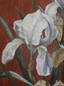 Iris 3 unknown artist @ 1890