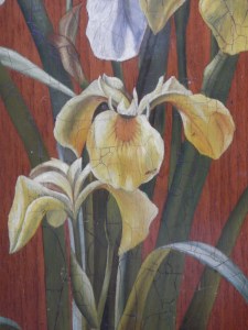 Iris 4 unknown artist @ 1890